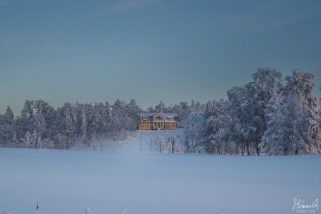 IMG 1435-1