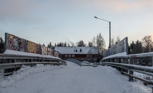 IMG 1539-1