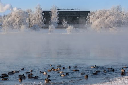 IMG 9364-1