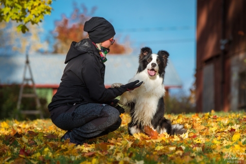Demsin Yogi alias ”Edu”, Bordercollie
