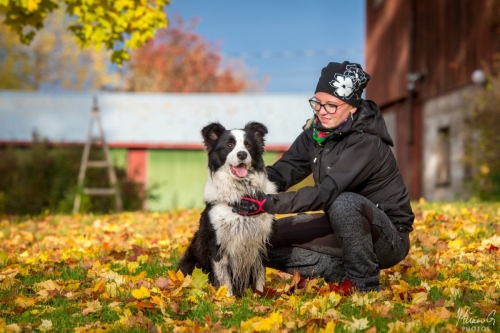 Demsin Yogi alias ”Edu”, Bordercollie
