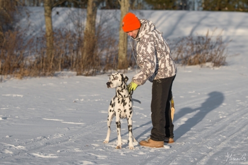 Reetu, Dalmatian