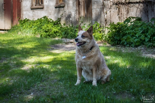 IMG 0772-1