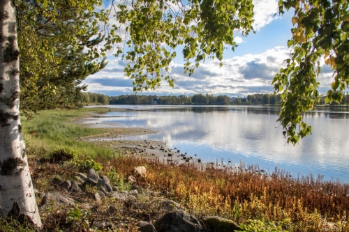 Vuoksen rantaa syksyllä (1053)