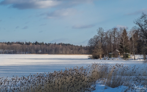Immalanjärvi talvella (1724)