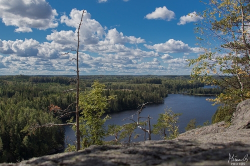 Haukkavuorella (1875)