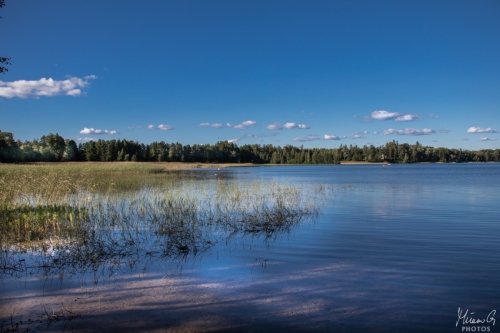 Järvimaisema, Immalanjärvi (1885)