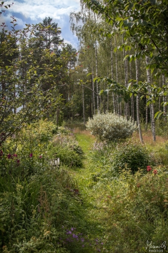Kielomäki garden