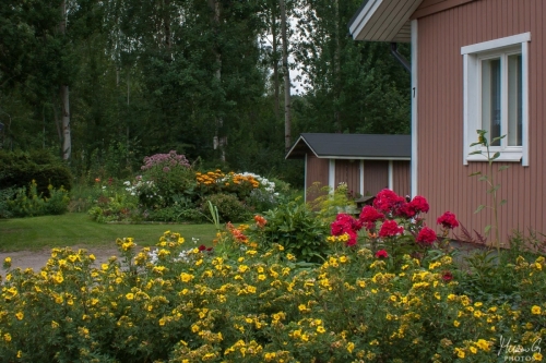 Puutarha, Garden
