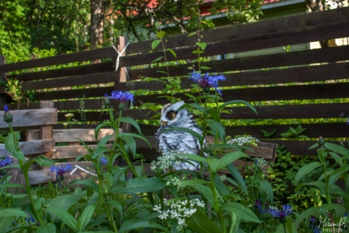 Koristepöllö puutarhassa, Owl statue in garden